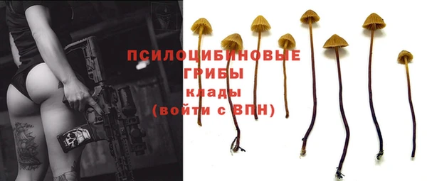 метадон Козельск