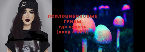 ALPHA-PVP Козловка
