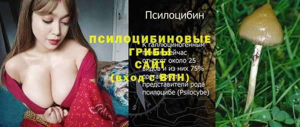 метадон Козельск