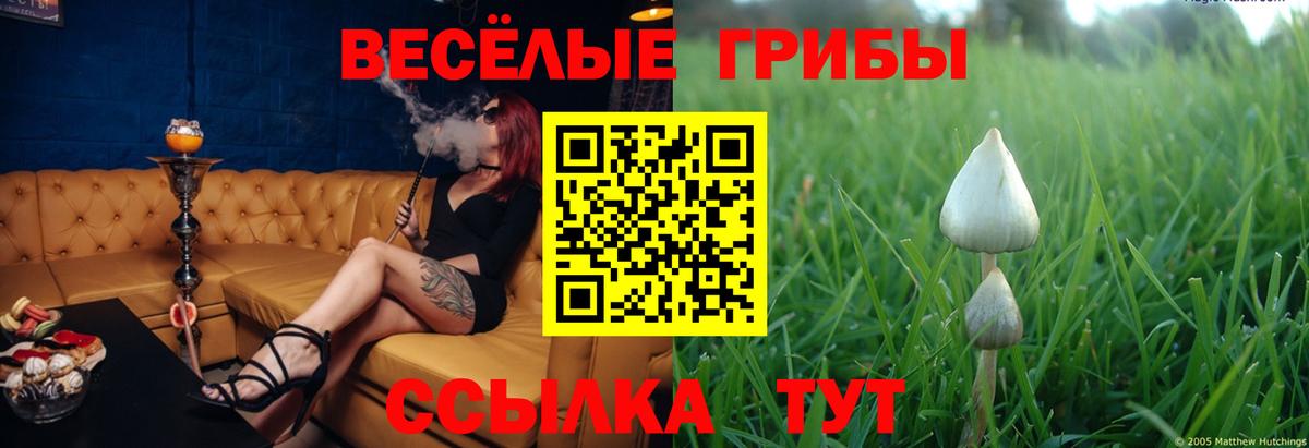 Псилоцибиновые грибы MAGIC MUSHROOMS Шахты